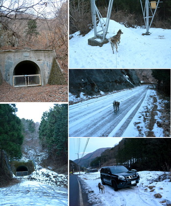 tunnel