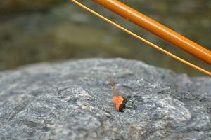 fly