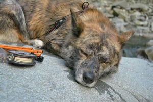 exhausted