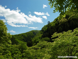 山里