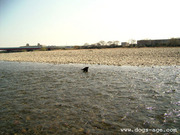 rio @ 多摩川