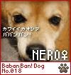 babanban nero