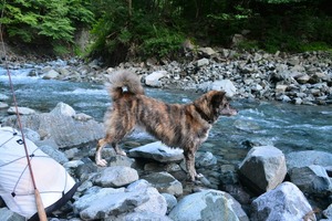 zoe