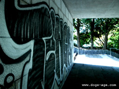 wild style