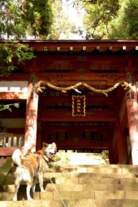 與瀬神社