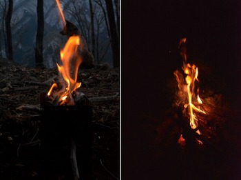 woodstove と焚火
