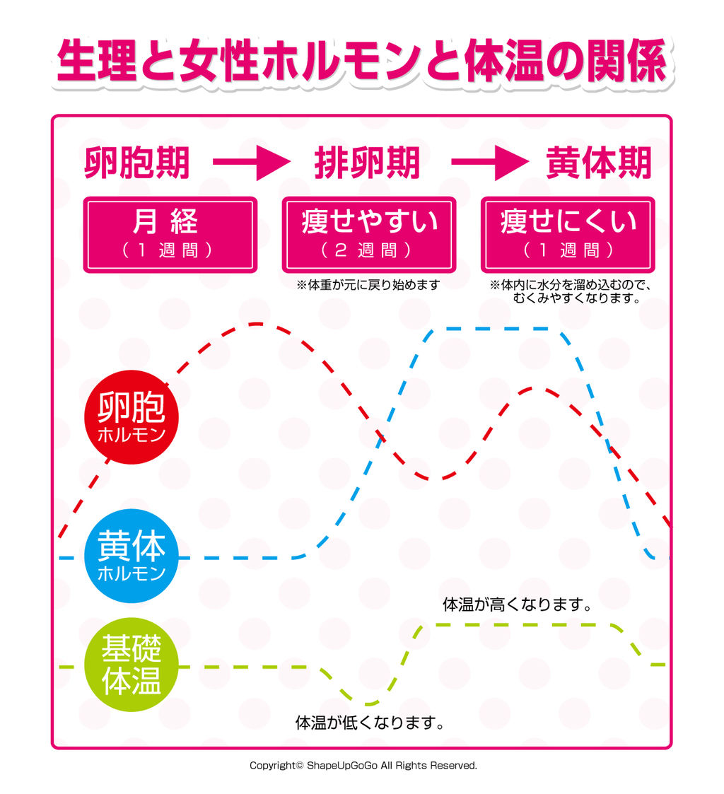 中 増える ダイエット 体重 【しんどい】ダイエット中、食べていないのに急に体重が増える理由は何なのか