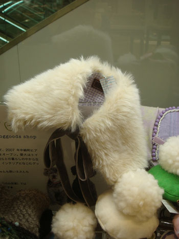 DSC02396