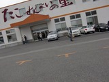 tako sen
