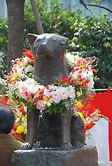 2515a8b9.jpg