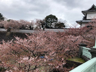 kanazawac