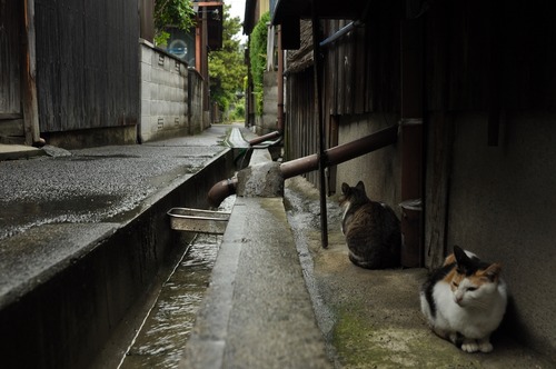 ためいき。