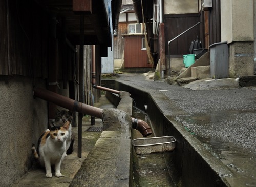 ちょっと。