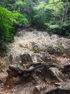 馬の背登山道