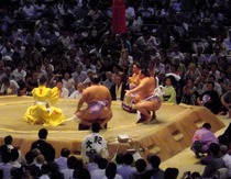 白鵬
