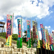 大相撲名古屋場所