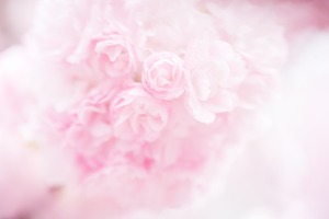 「結婚って幸せ?」と問う前に考えて欲しいこと