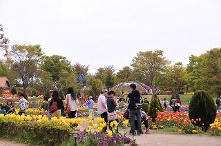 s-_DSC4781
