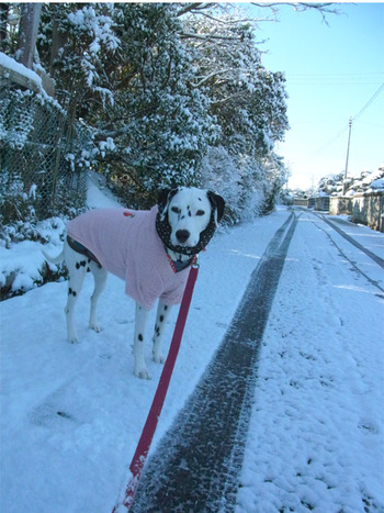 yuki02