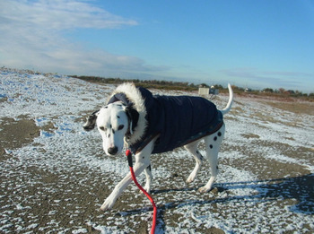 2012_yuki1