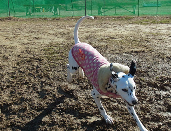 run2012_0209_02