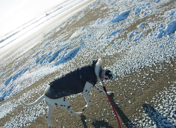 2012_yuki2