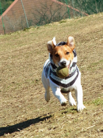 run2012_0209_01