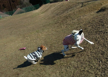 run2012_0209_03