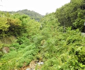 P9130012