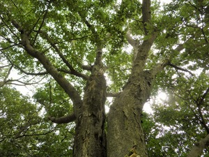 P9130005