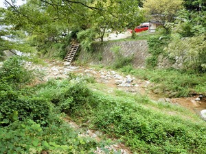 P9130009
