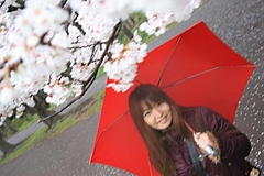 2008桜(るかちゃんと) 021