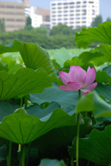 84f46264.JPG