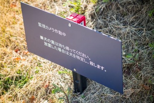 m7071