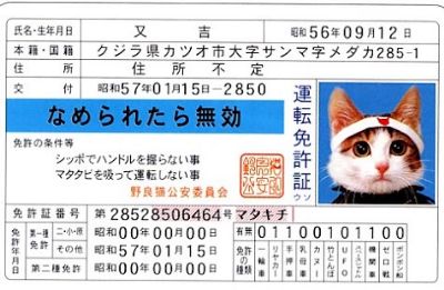 26403