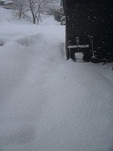 雪