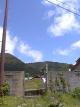 裏庭空