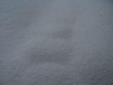 雪
