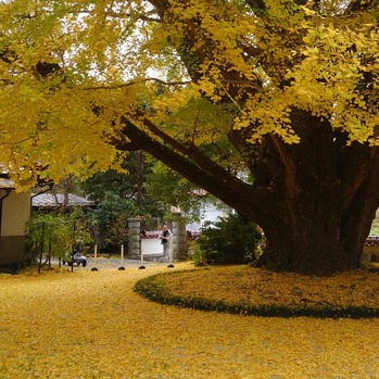 jouzenji