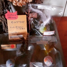 cat toy