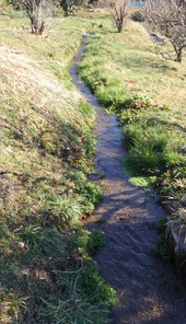 nanigashihatake