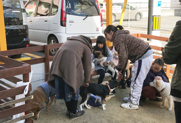 ボランティアによる譲渡活動