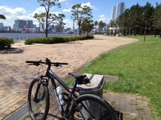 写真5