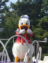 5dc77da8.jpg