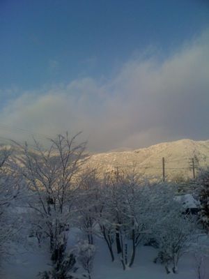 IMG_1589