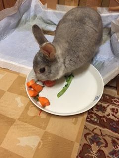 トマトうまい
