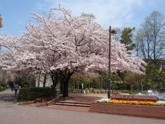 01 日比谷公園入口