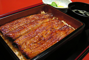 パチンコとうな重
