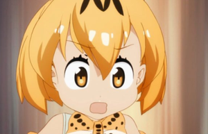 日本のカジノ