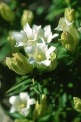 photo0735